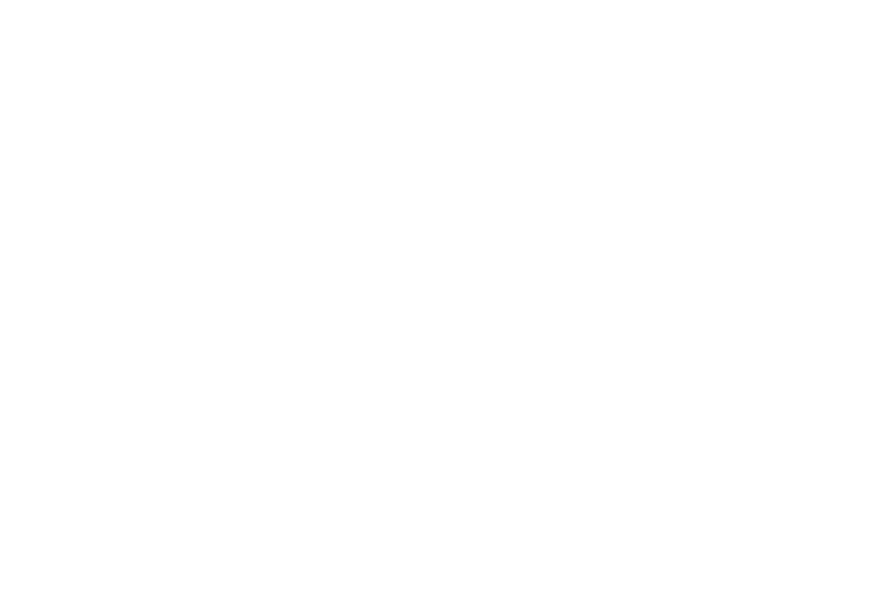 The L.A.O Company